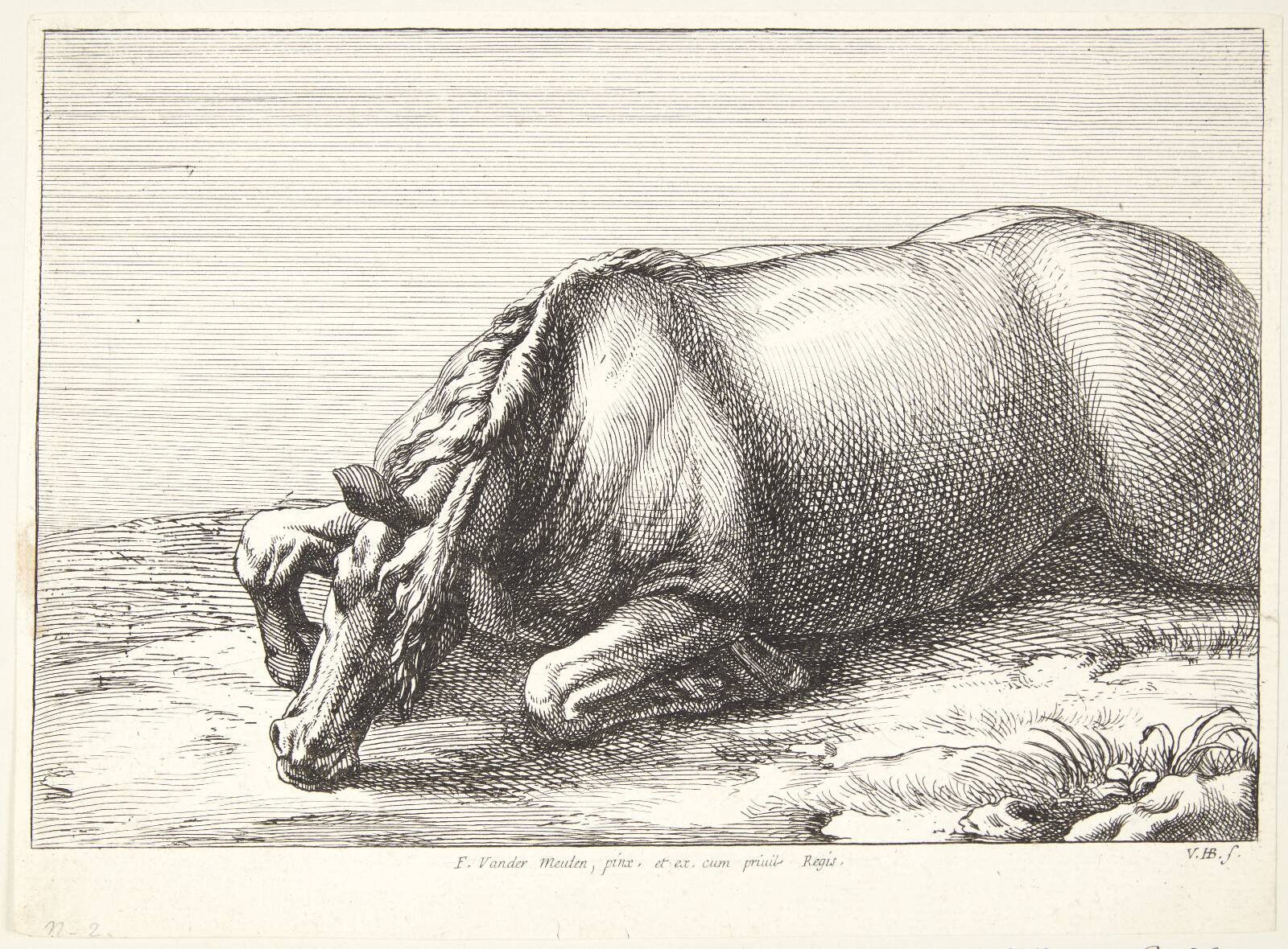 Falden hest, Jan van Huchtenburg, 1647-1733