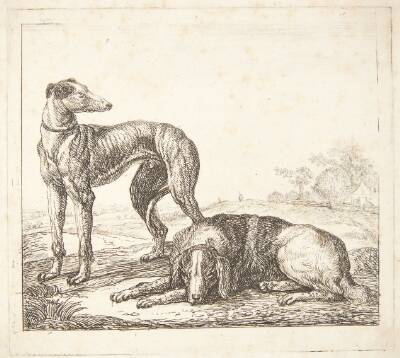 En mynde og en liggende hund