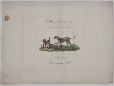 Titelblad til "Chiens de chasse"