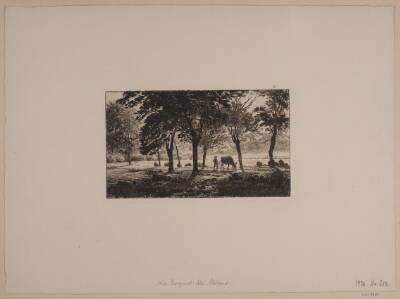 Alléen