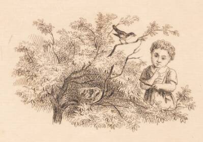 Illustration til "Halvhundrede Fabler for Børn" af Hey