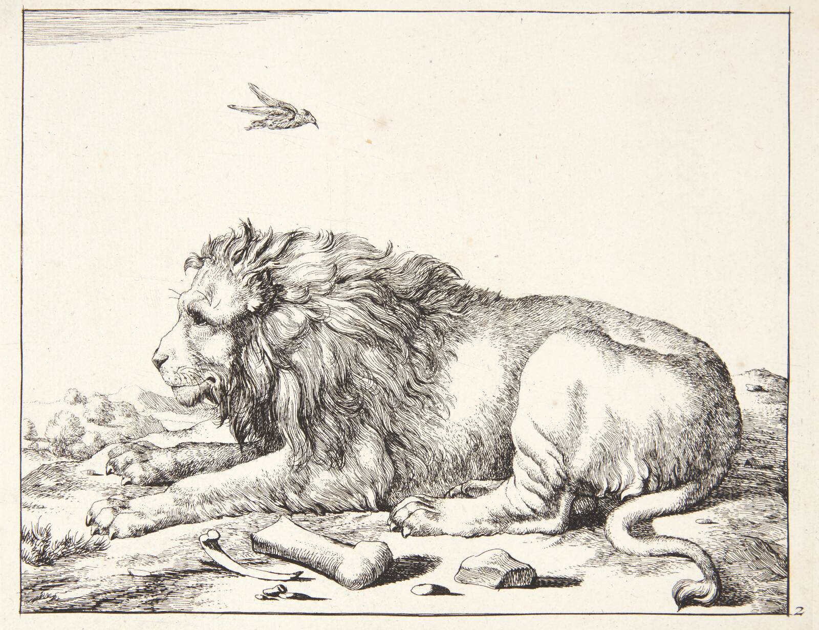 Liggende løve, Marcus de Bye, 1638-1690