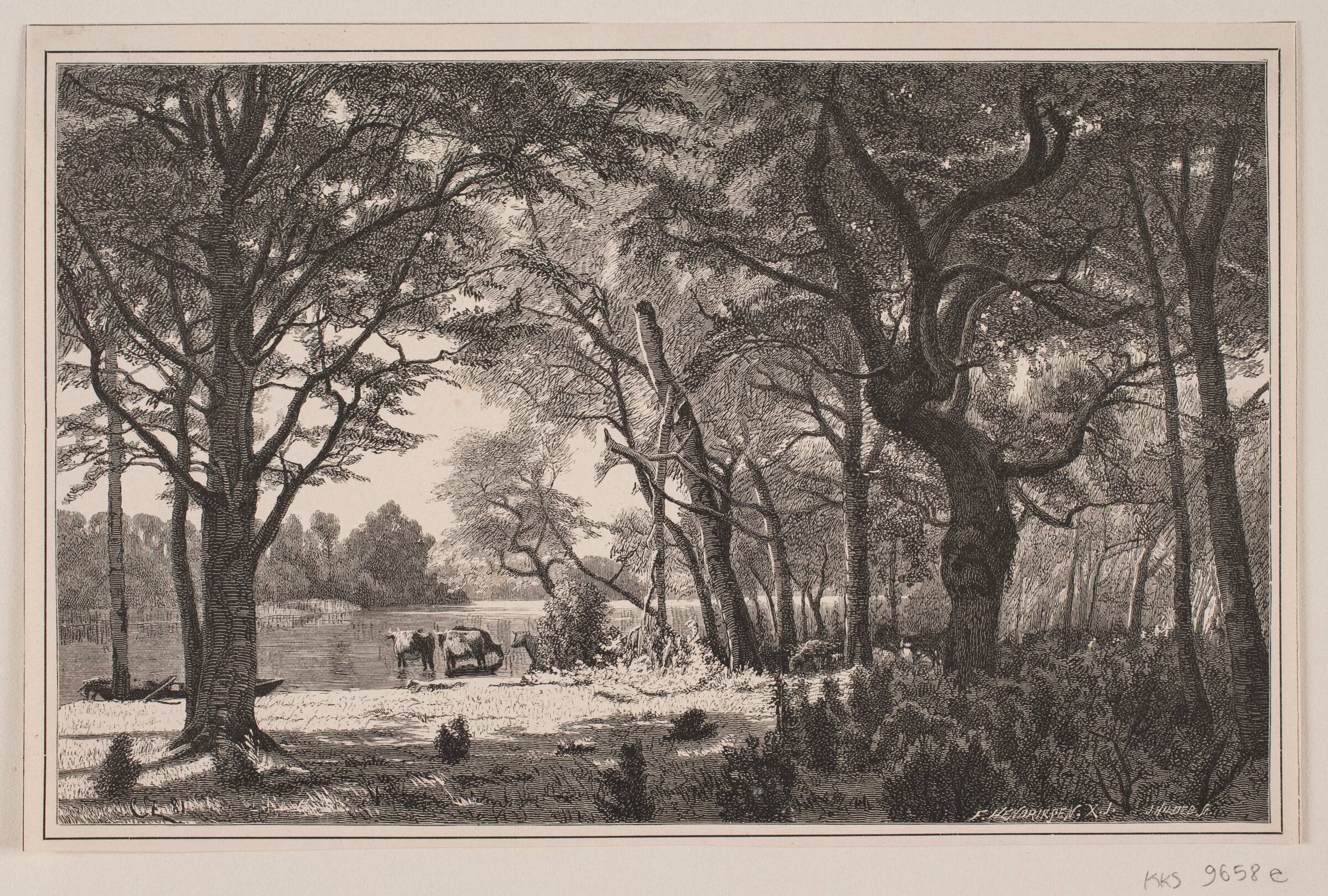 Jysk skovparti, J. Hildebrand, 1881