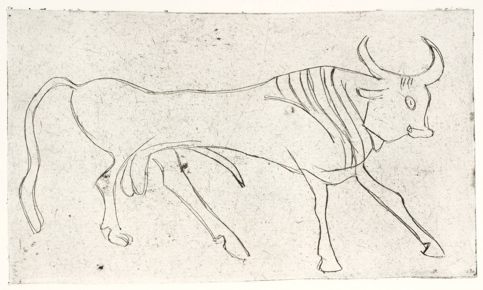 Tyr, Olivia Holm-Møller, 1948-1951