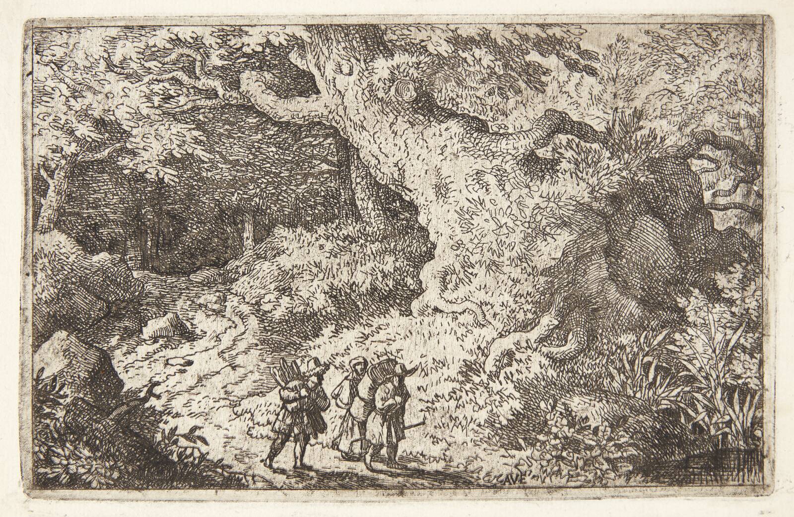 En tæt skov, Allaert van Everdingen, 1621-1675