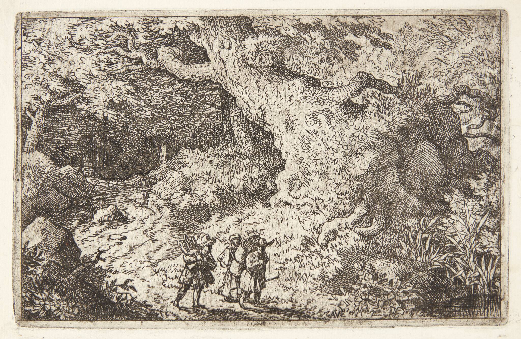 En tæt skov