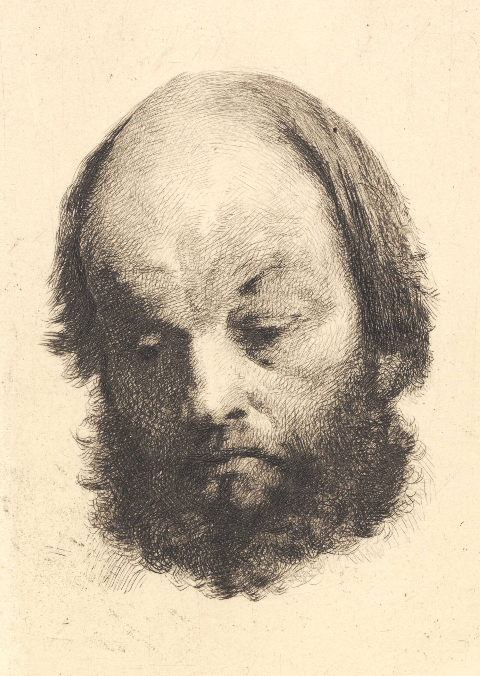 Sortskægget mand, Garibaldi, Frans Schwartz, 1886