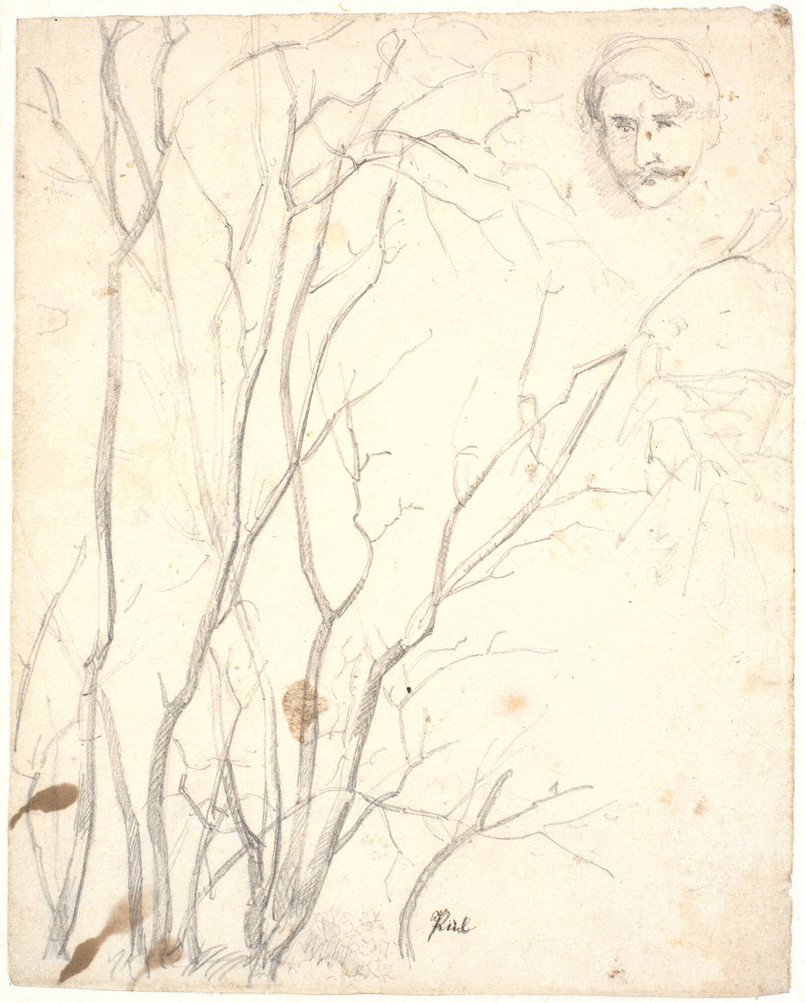 Træstudier og et ansigt, Dankvart Dreyer, 1831-1852