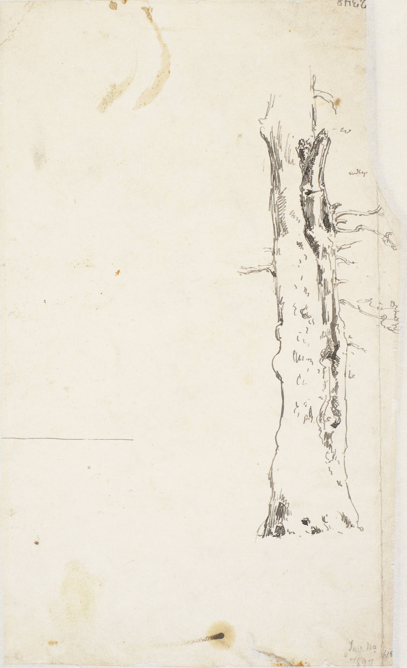 En træstamme, Dankvart Dreyer, 1840-1849