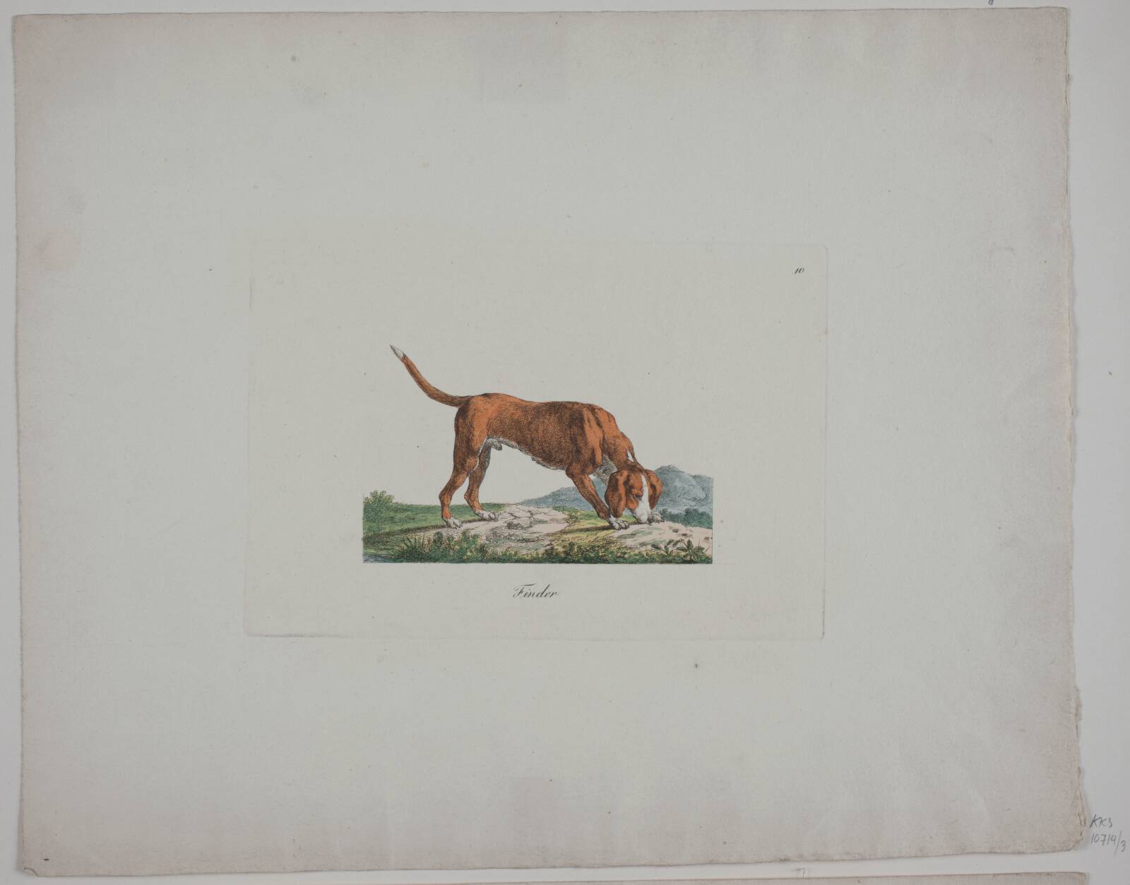 Finder, Christian David Gebauer, 1821