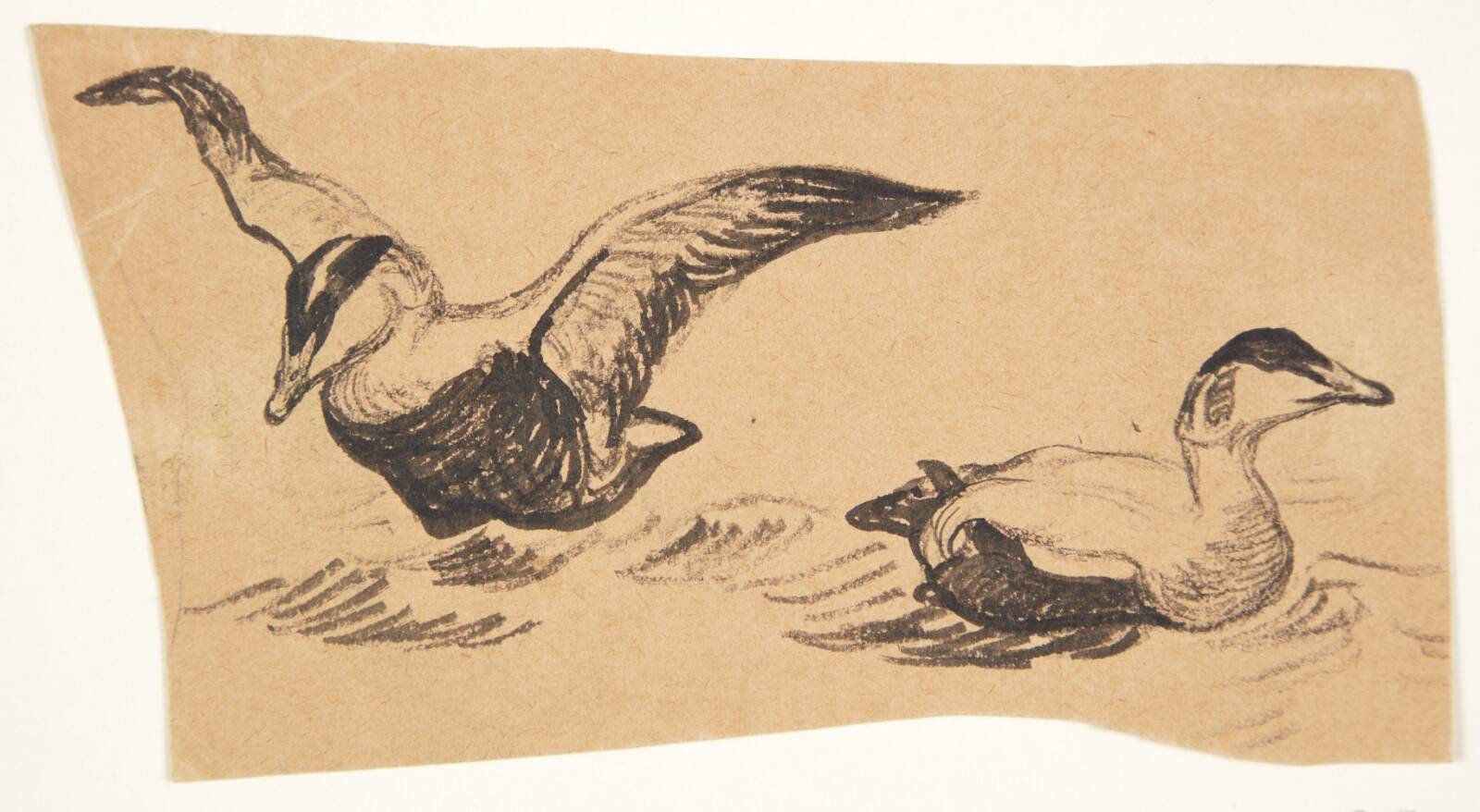 To edelfugle, Johannes Larsen, 1898