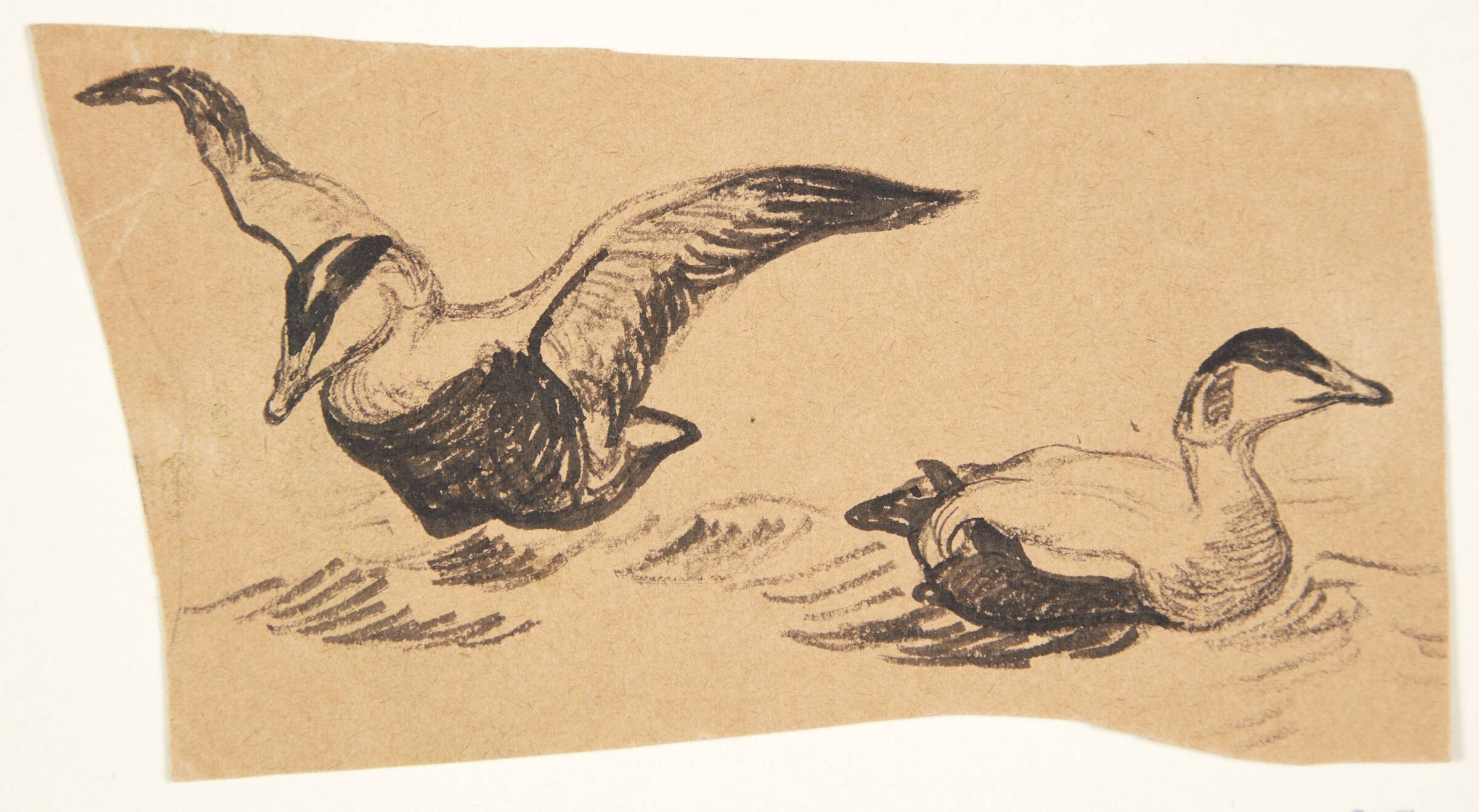 To edelfugle, Johannes Larsen, 1898