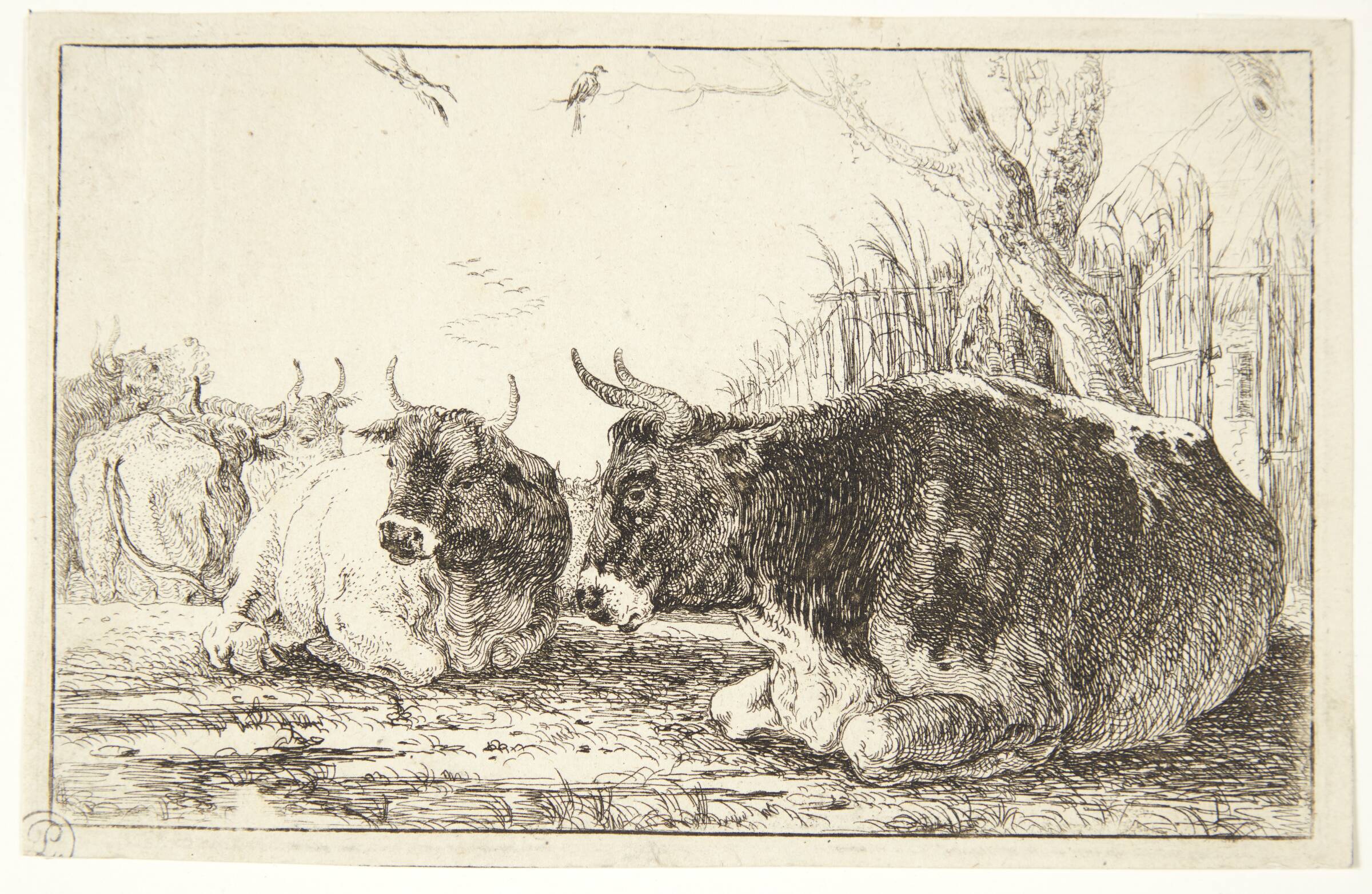 Hvilende køer, Jan van den Hecke I, 1619-1684
