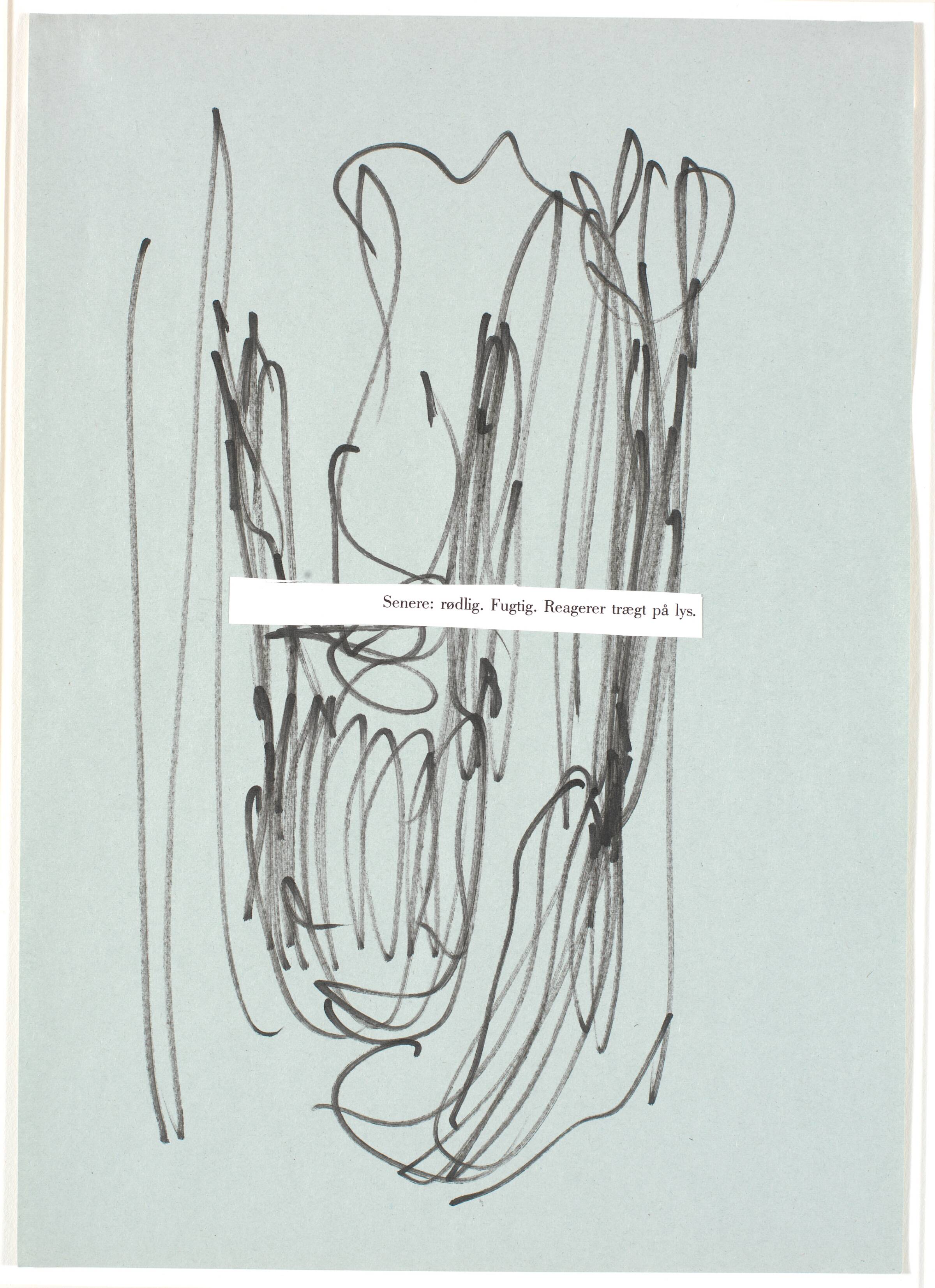 Den 24. februar 1989, dansk version, (I-XIII), Claus Carstensen, 1989