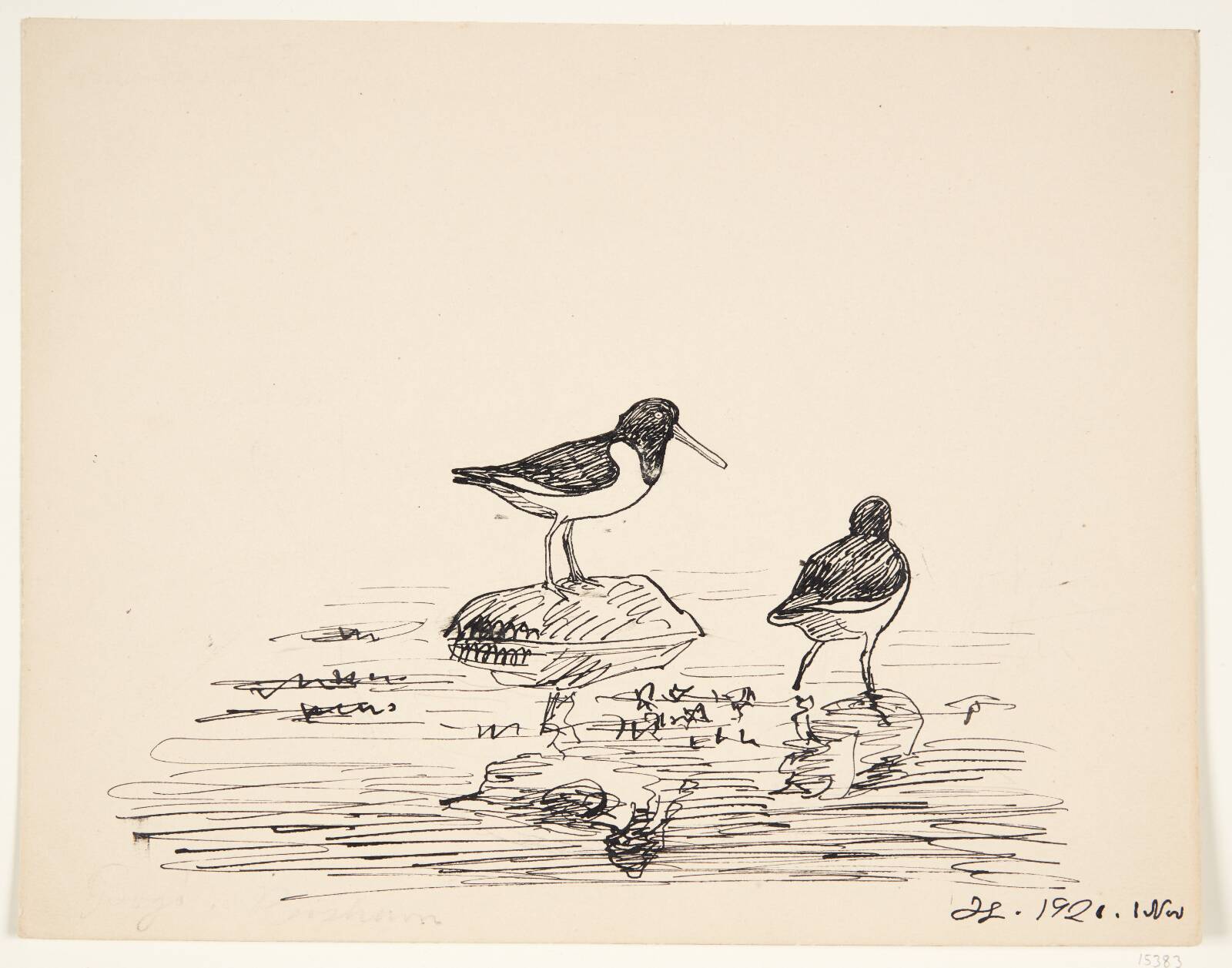 Fuglestudie, Johannes Larsen, 1921