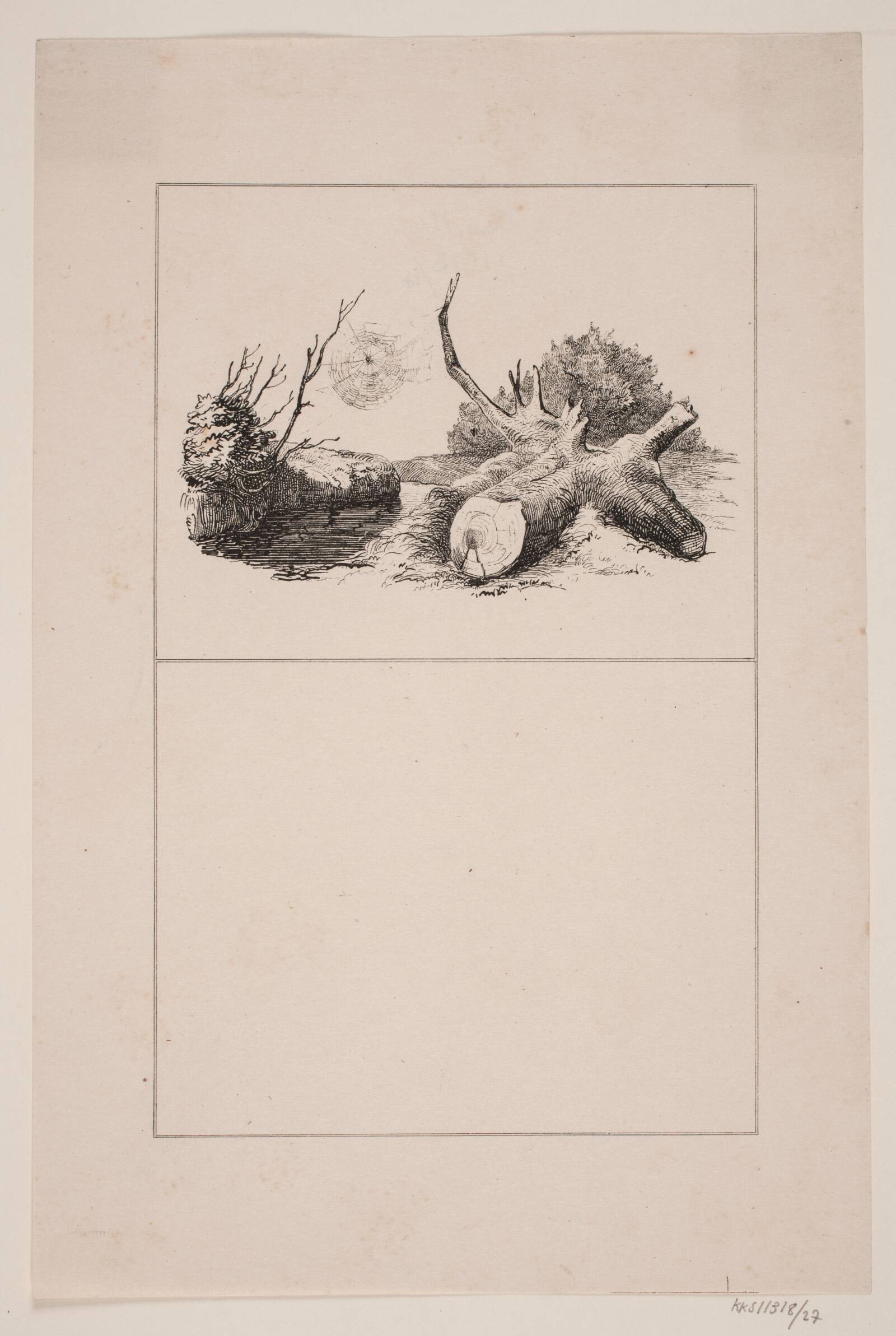 Edderkoppen, Adolph Kittendorff, 1845
