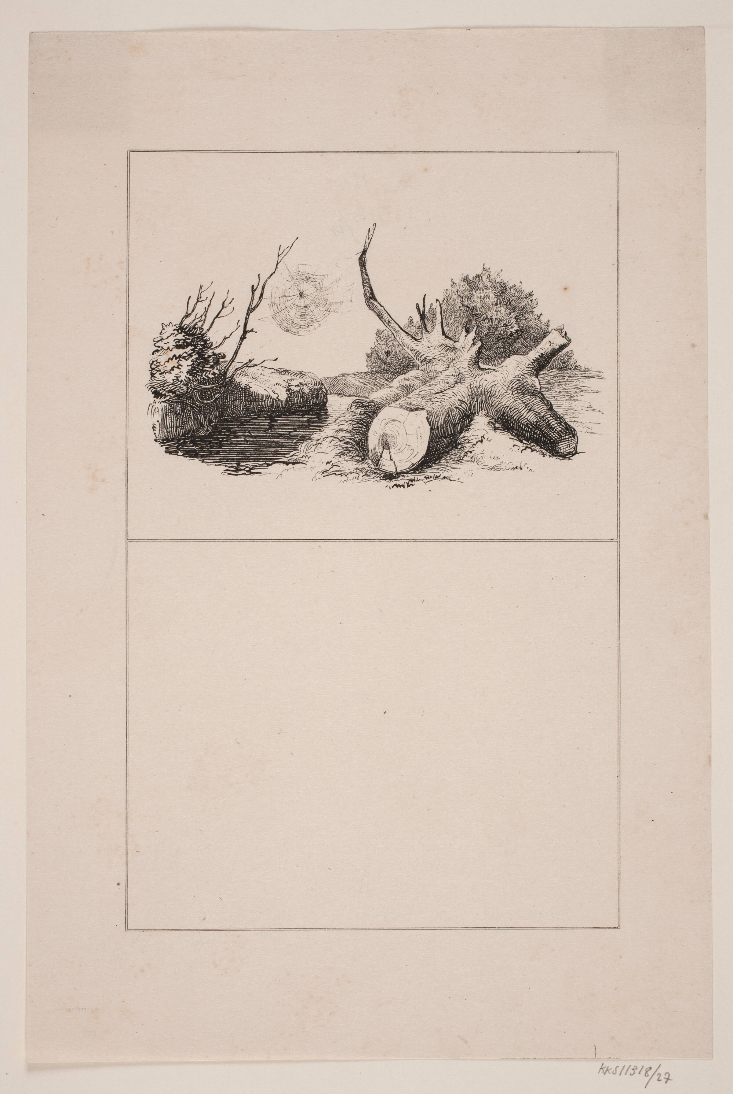 Edderkoppen, Adolph Kittendorff, 1845