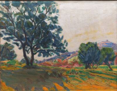 Olivenlunden. Cagnes by i baggrunden. Mod lyset