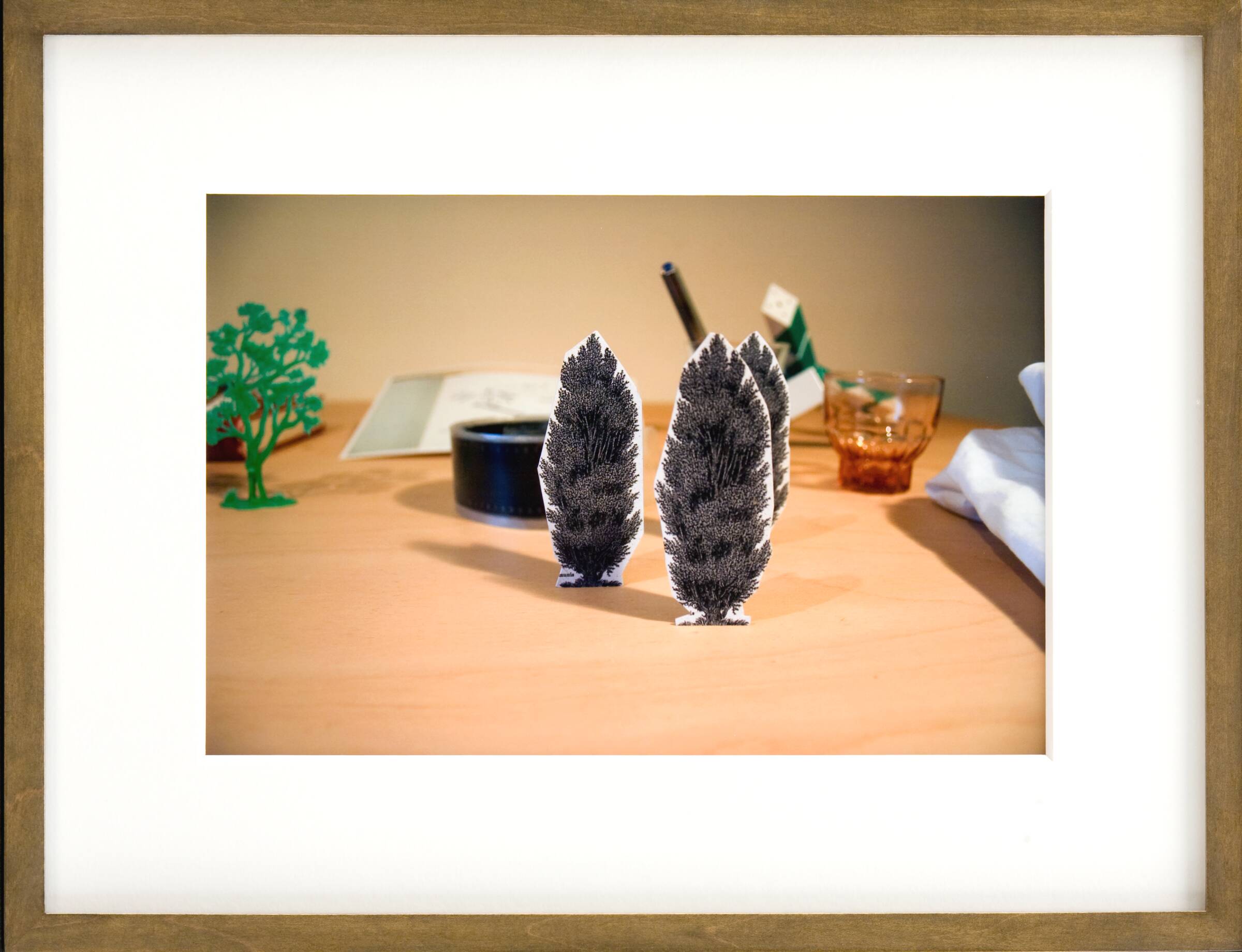 I Capture You. You Capture Me, Gitte Villesen, 2005