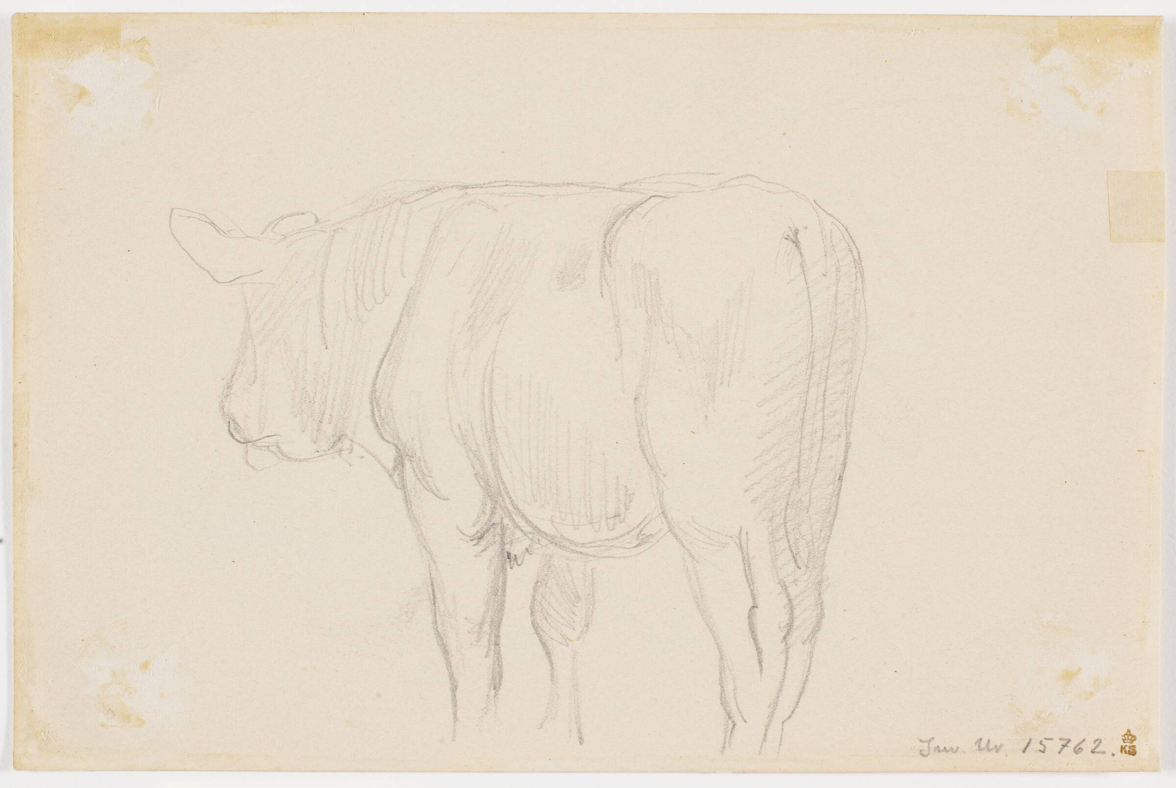 En stående ko set bagfra, Theodor Philipsen, 1895