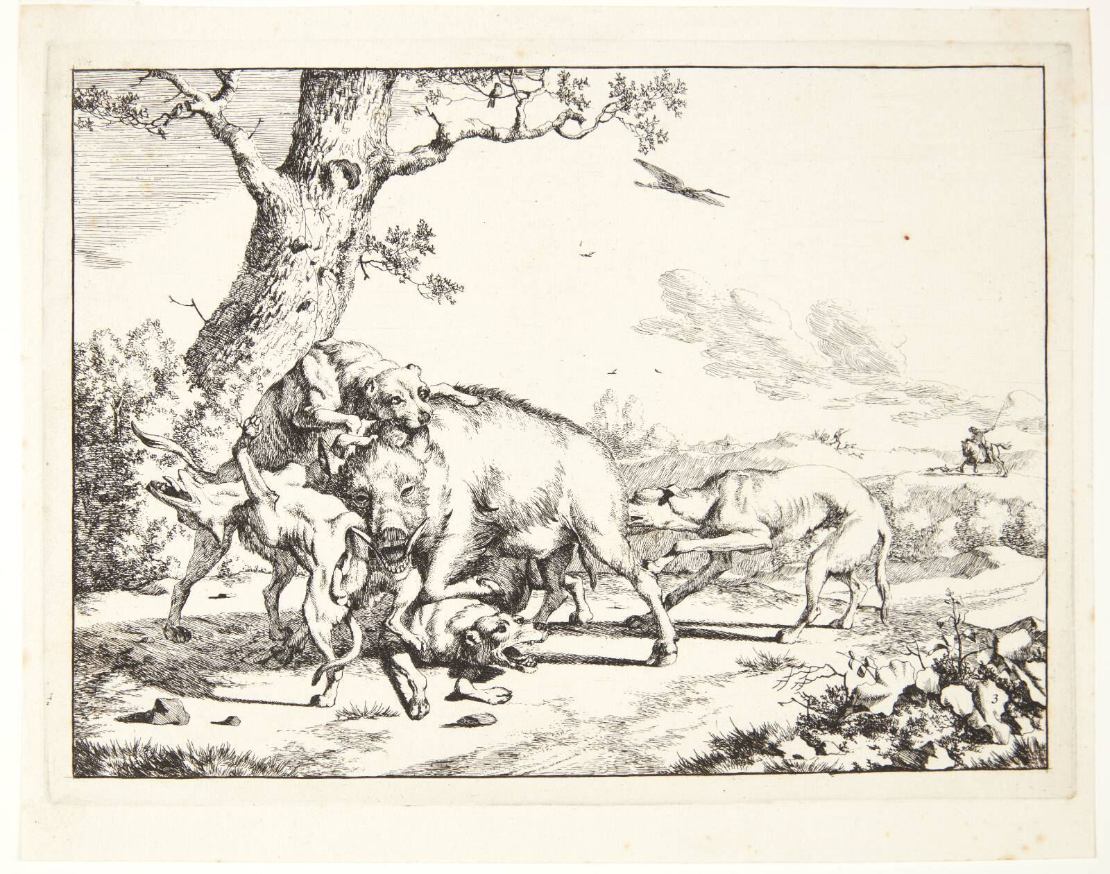 Vildsvin, der angribes af fire hunde, Marcus de Bye, 1638-1690