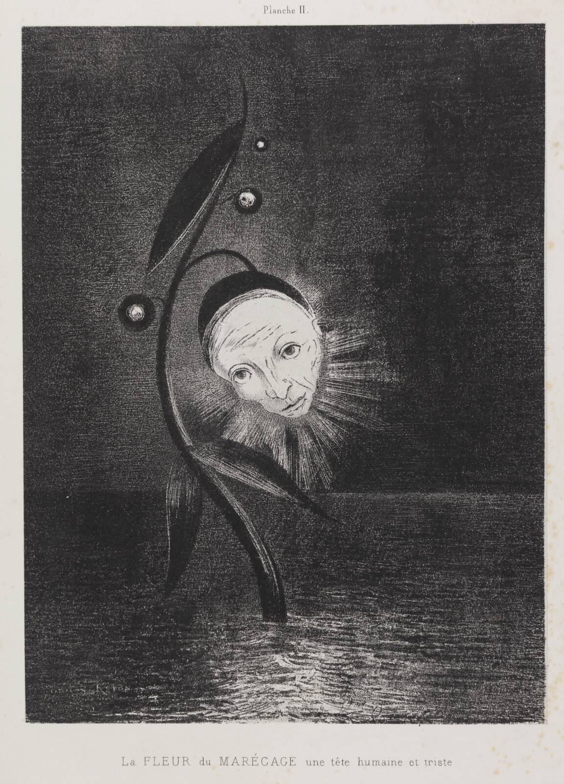 Le Fleur du marécage une tête humaine et triste, by Odilon Redon, 1885