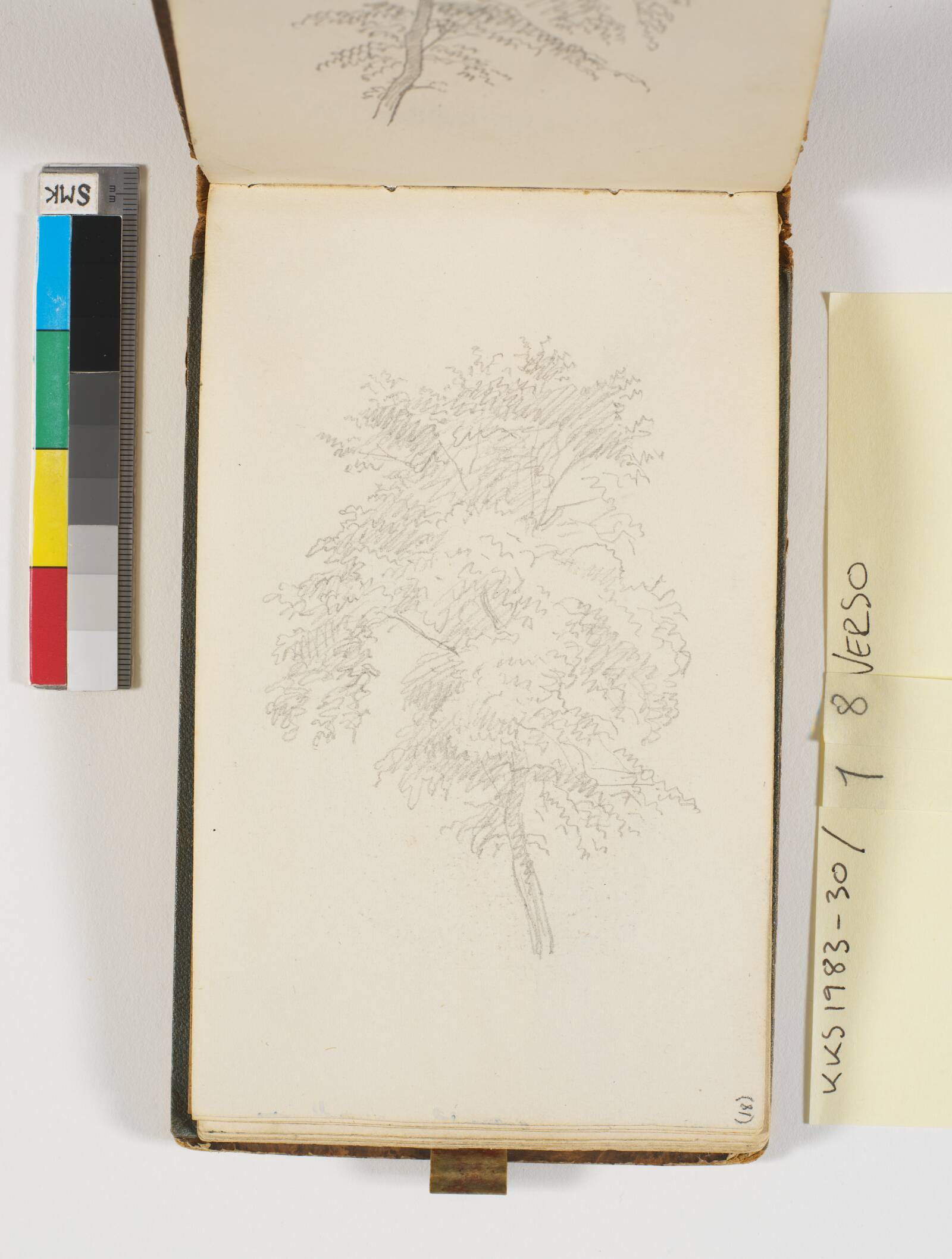 Træstudie, P.C. Skovgaard, 1848