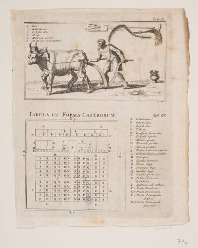 Tabula et forma castrorum