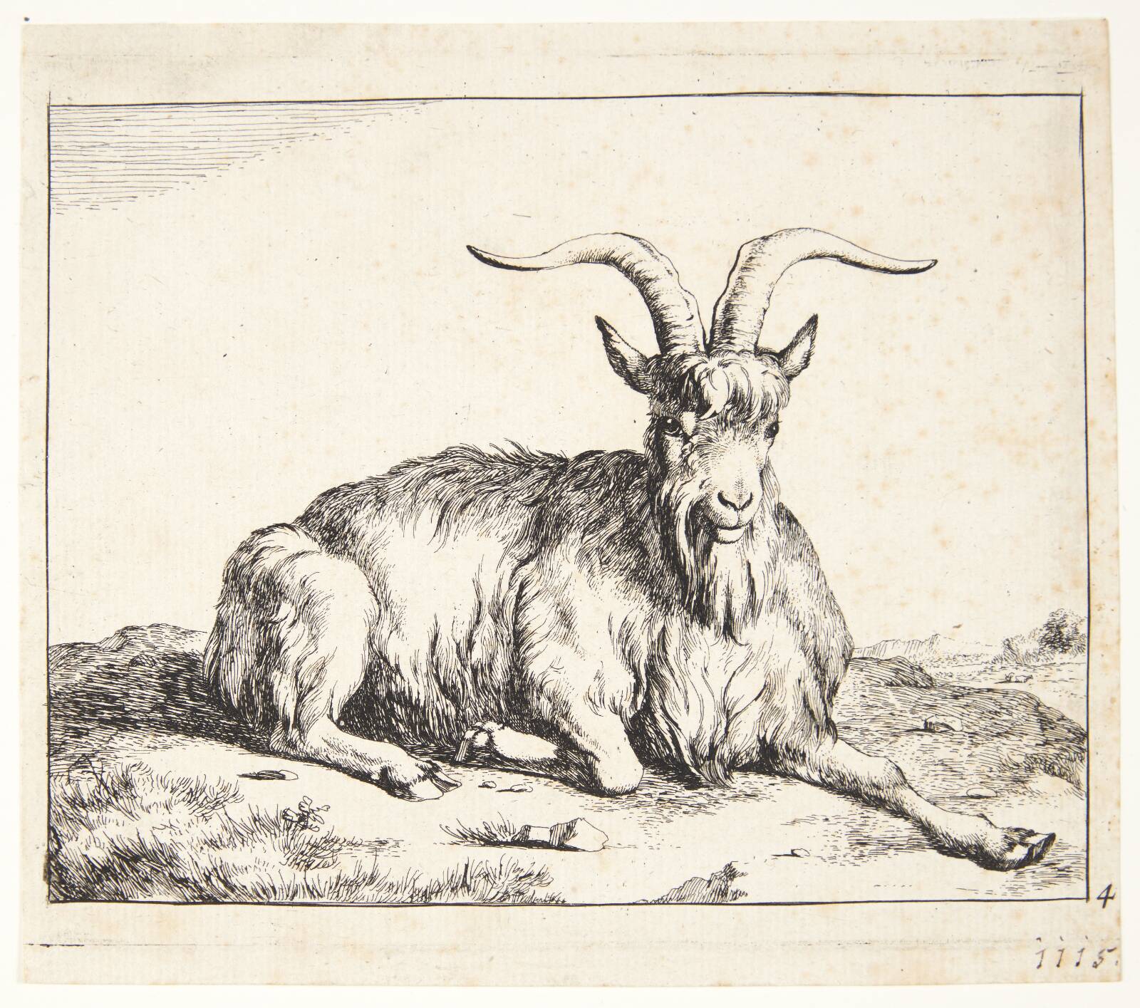 Liggende ged, Marcus de Bye, 1639-1690