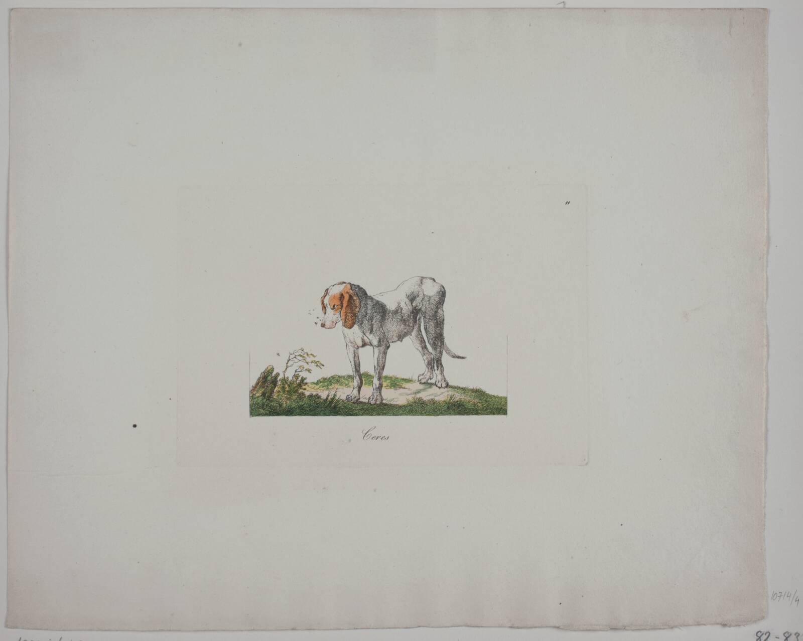 Ceres, Christian David Gebauer, 1821