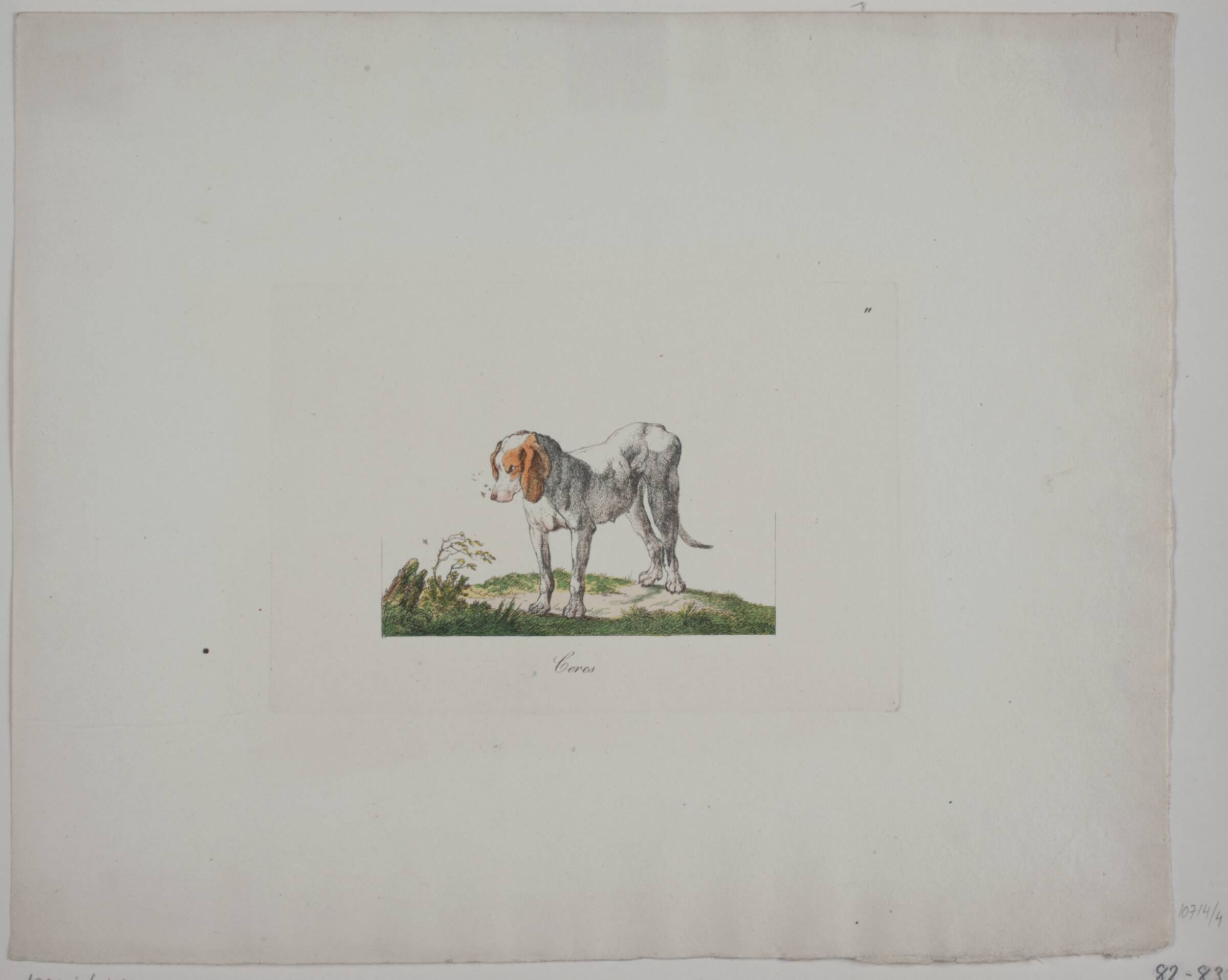 Ceres, Christian David Gebauer, 1821