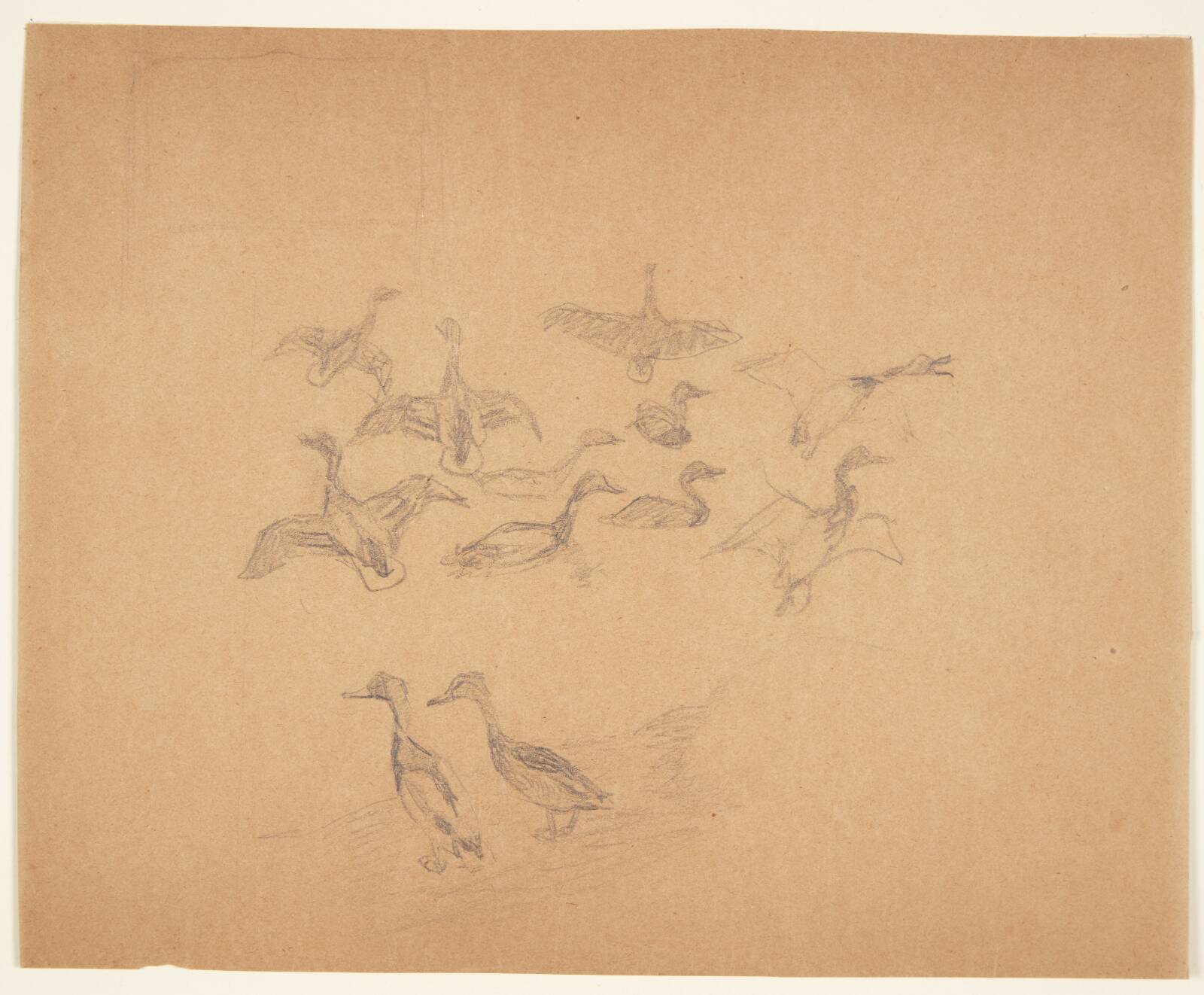 Andefugle, Johannes Larsen, 1867-1961