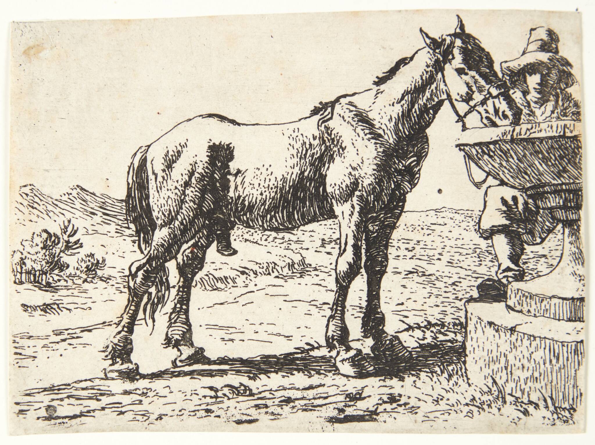 Hest ved en brønd