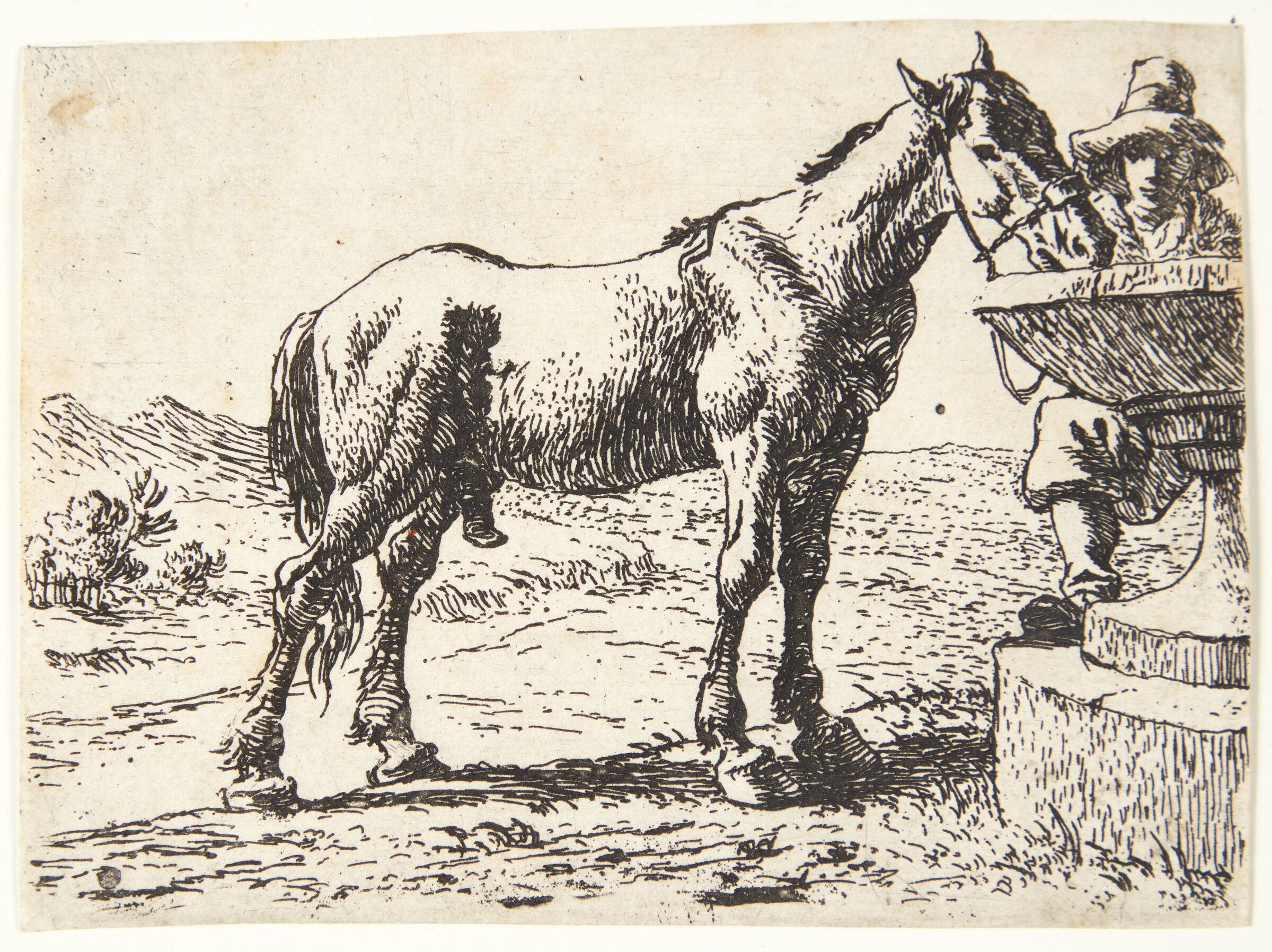 Hest ved en brønd, Pieter van Laer, 1599-1642