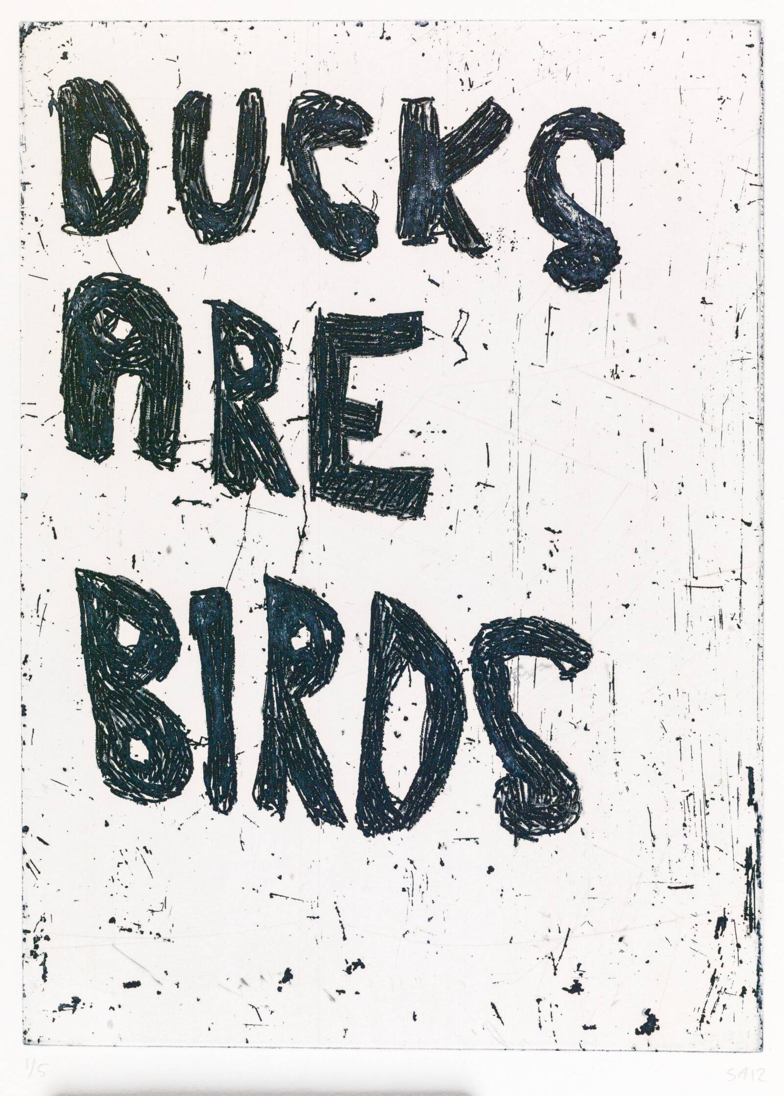 DUCKS ARE BIRDS, Svend-Allan Sørensen, 2012