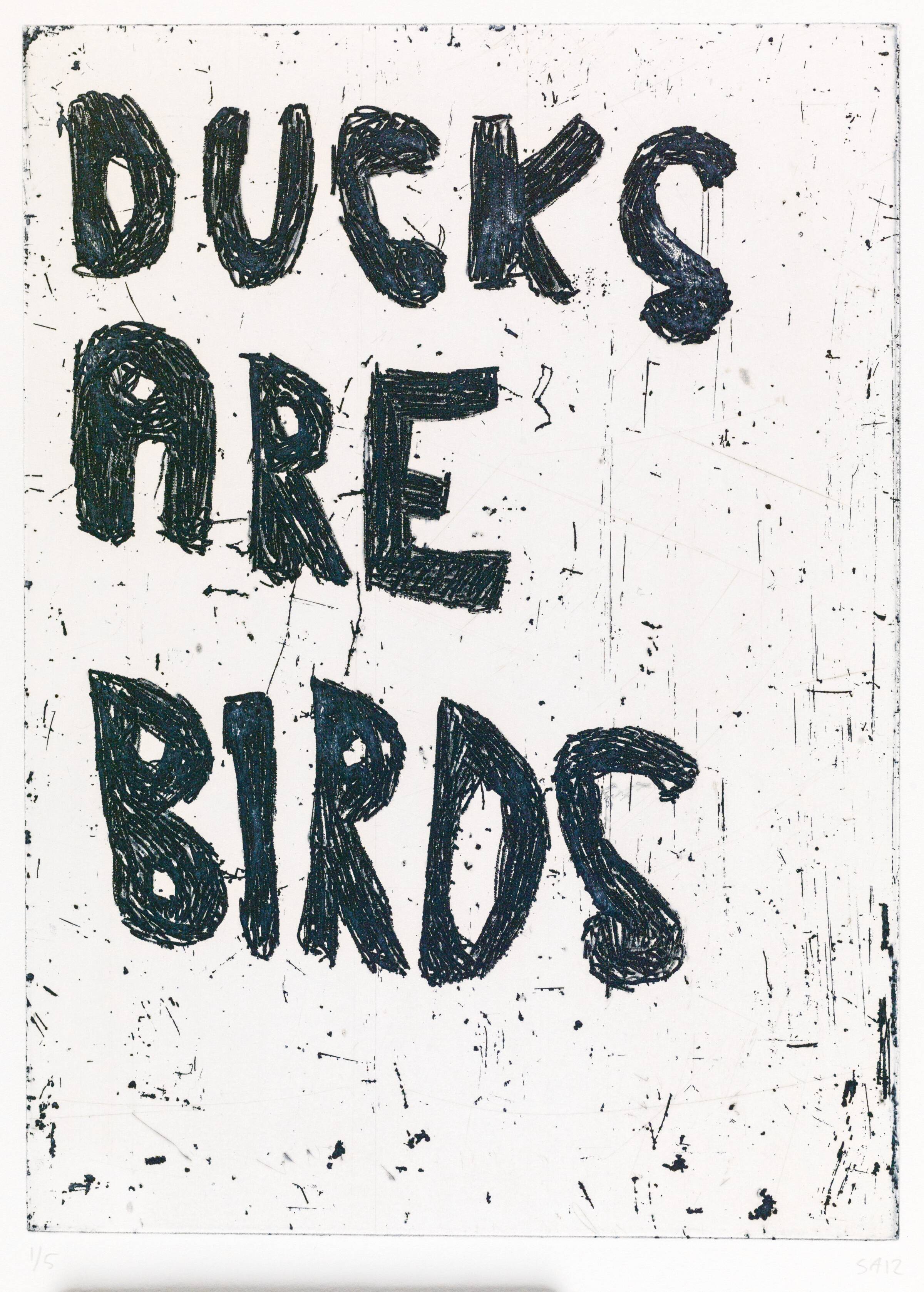 DUCKS ARE BIRDS, Svend-Allan Sørensen, 2012