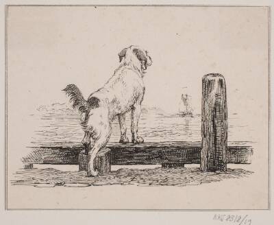 Hunden ved stranden