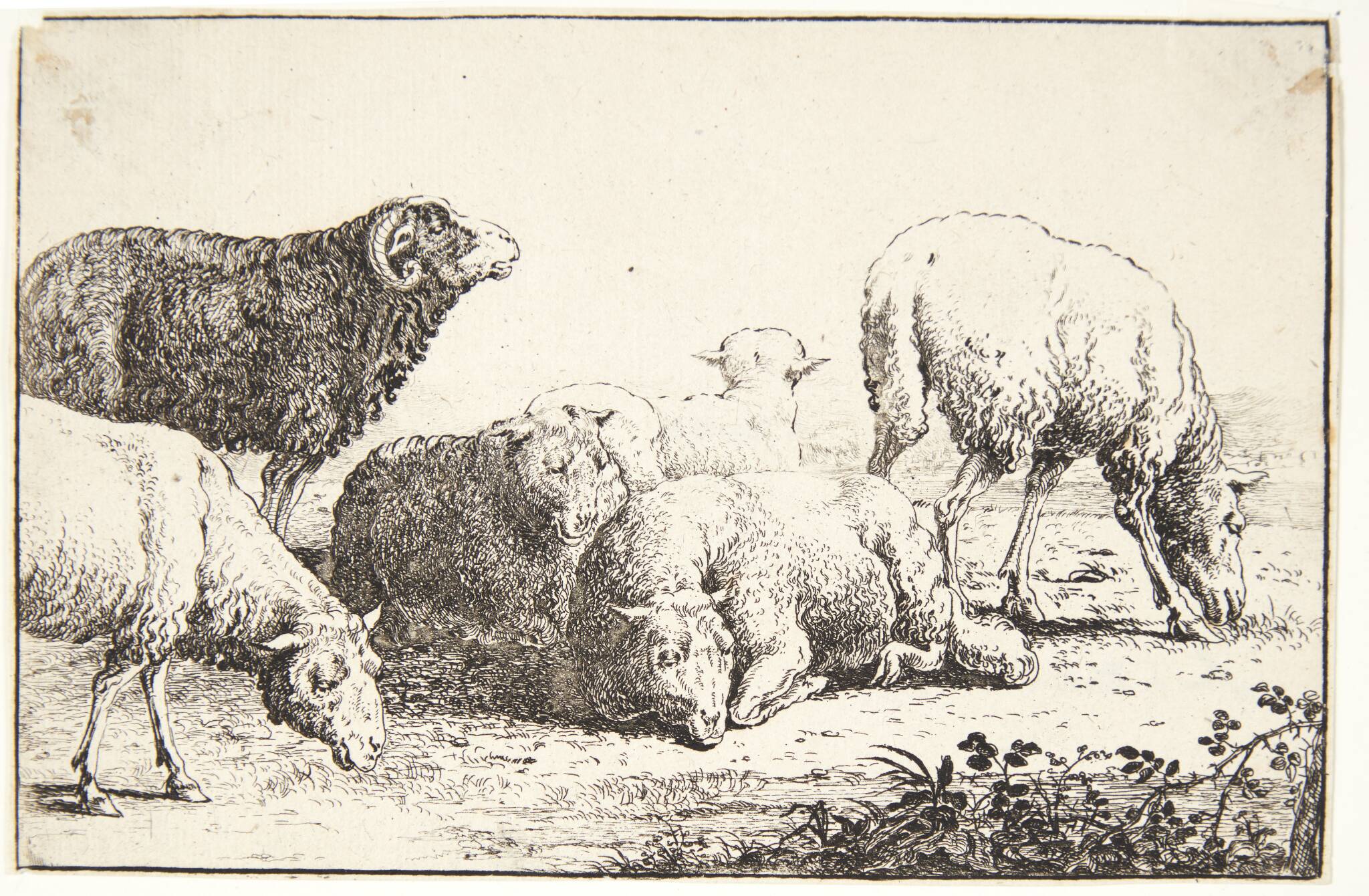 Får