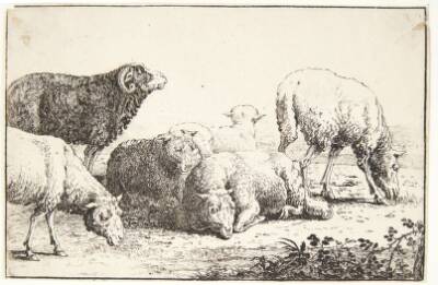 Får