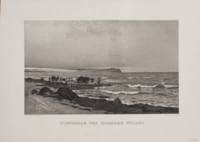 Vinterdag ved Hornbæk strand