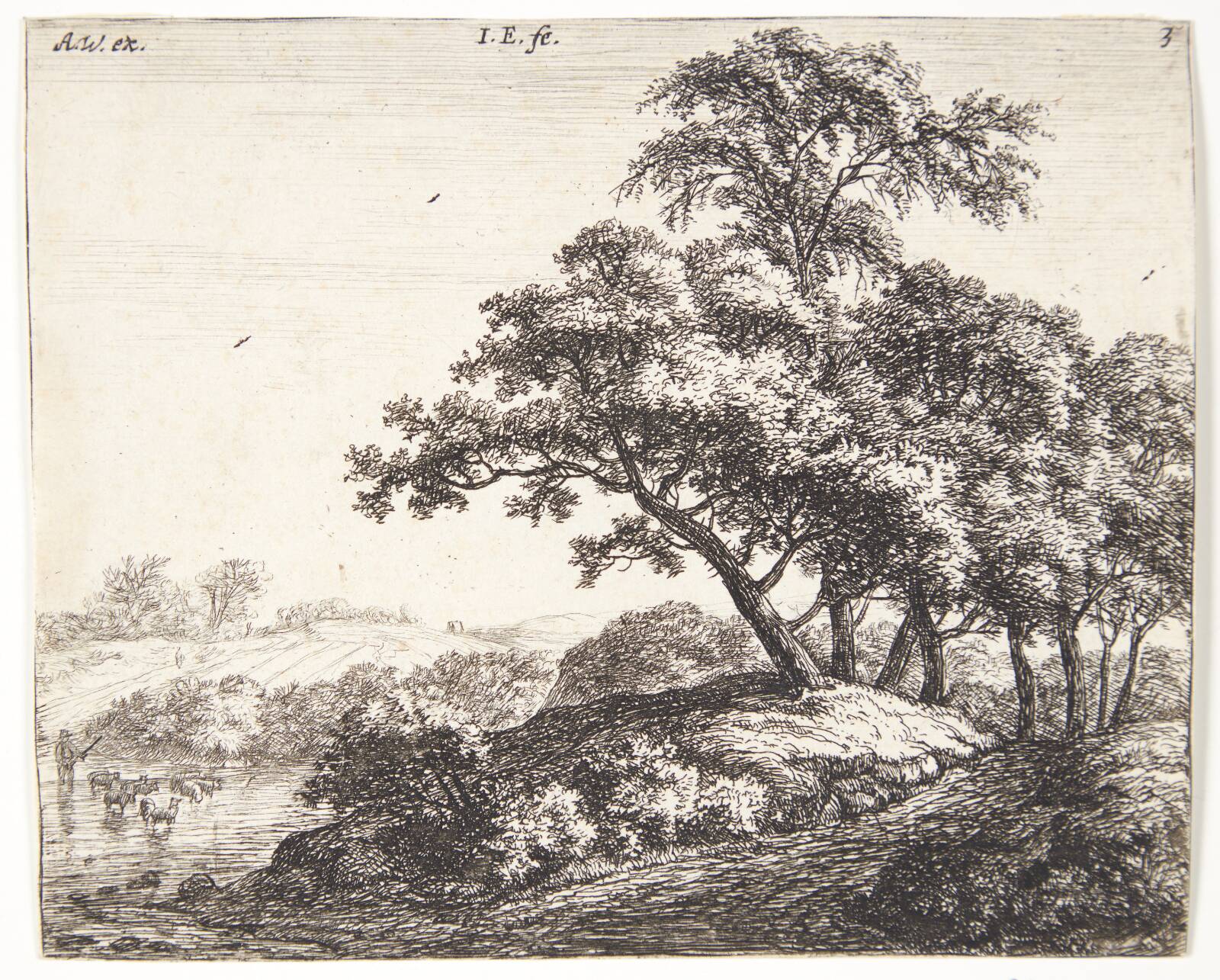 Får, der krydser en flod, Jacob Esselens, 1626-1687