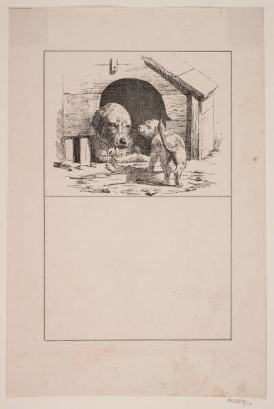 Hundehvalpen