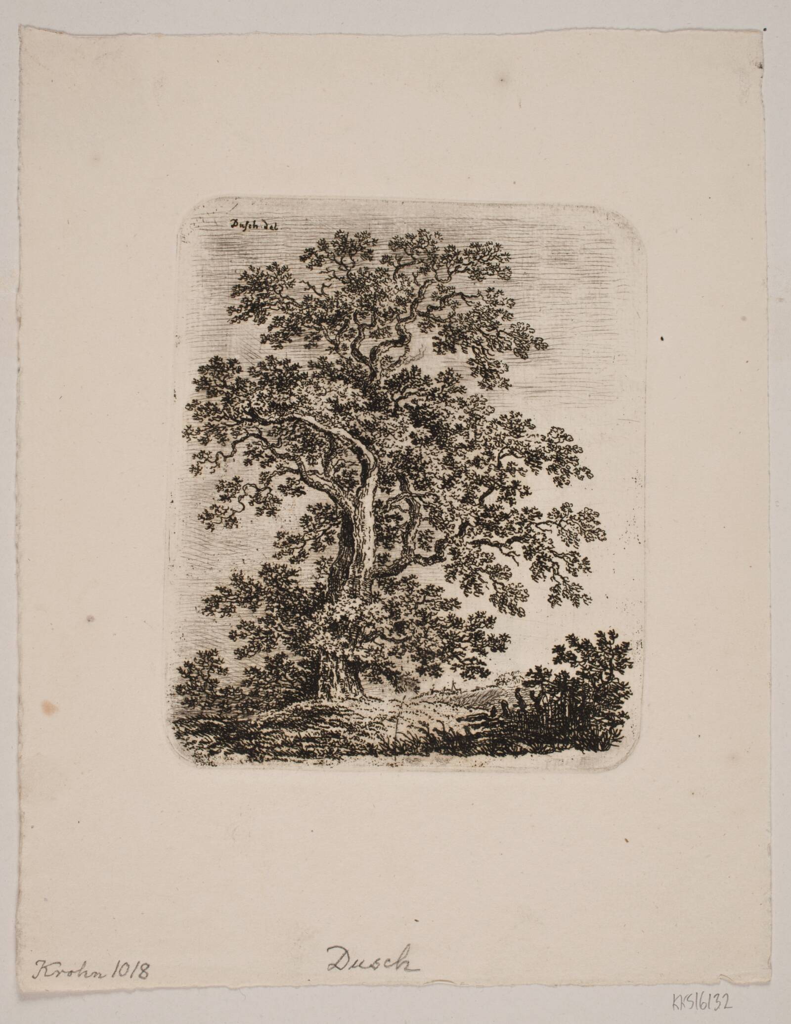 Et egetræ, Anton Carl Dusch, 1760-1829