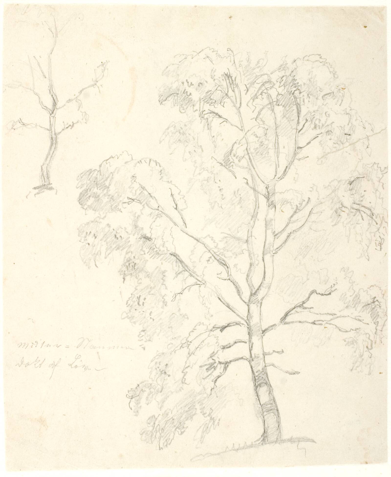 Træstudie, Dankvart Dreyer, 1837-1839