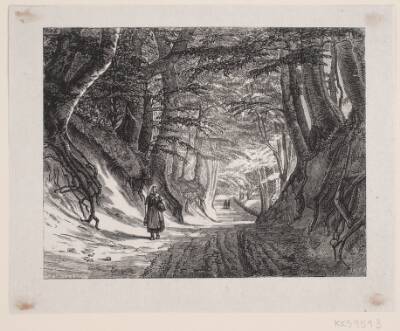 Illustration til Digt af J. Krohn