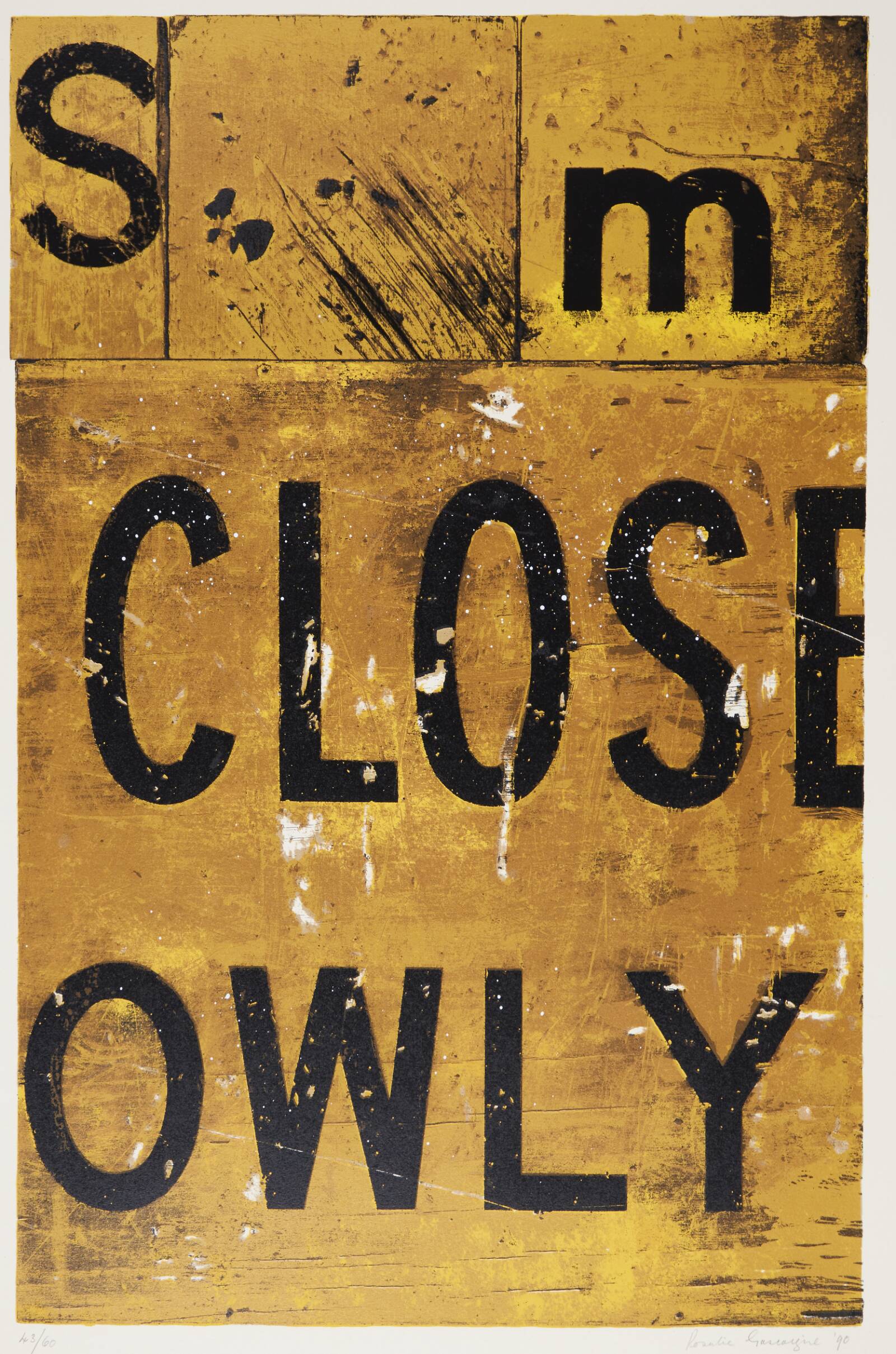 Close Owly, Rosalie Gascoigne, 1990
