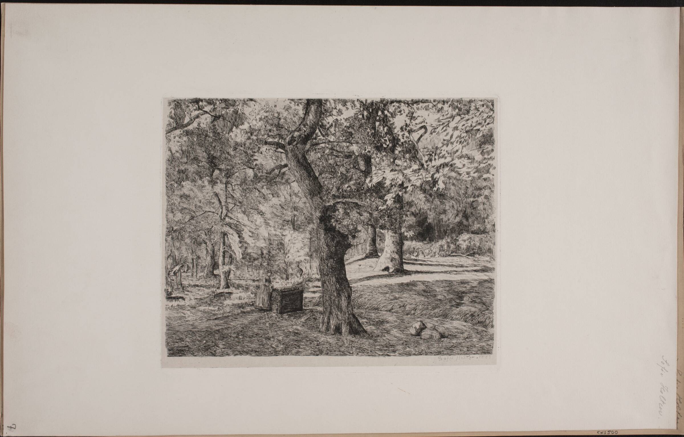 Brønd i skoven, Sophie Holten, 1889