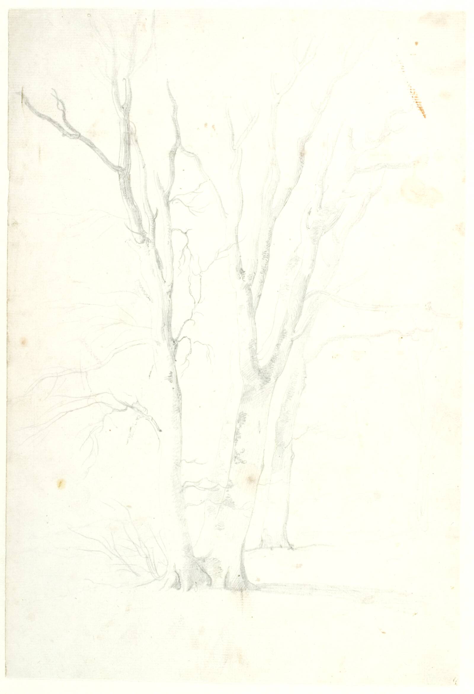 Studie af bøgetræer, Dankvart Dreyer, 1830-1833