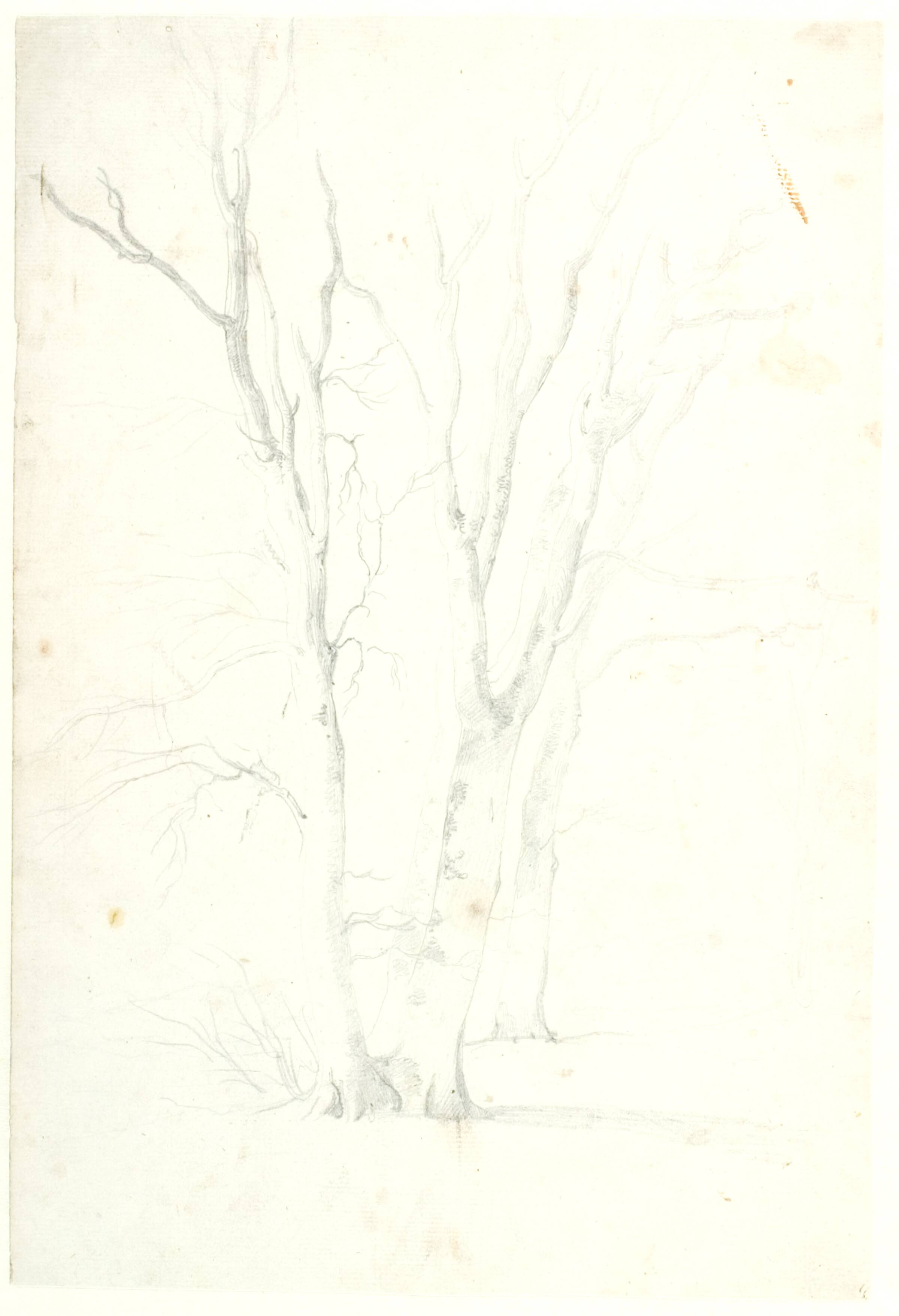 Studie af bøgetræer, Dankvart Dreyer, 1830-1833