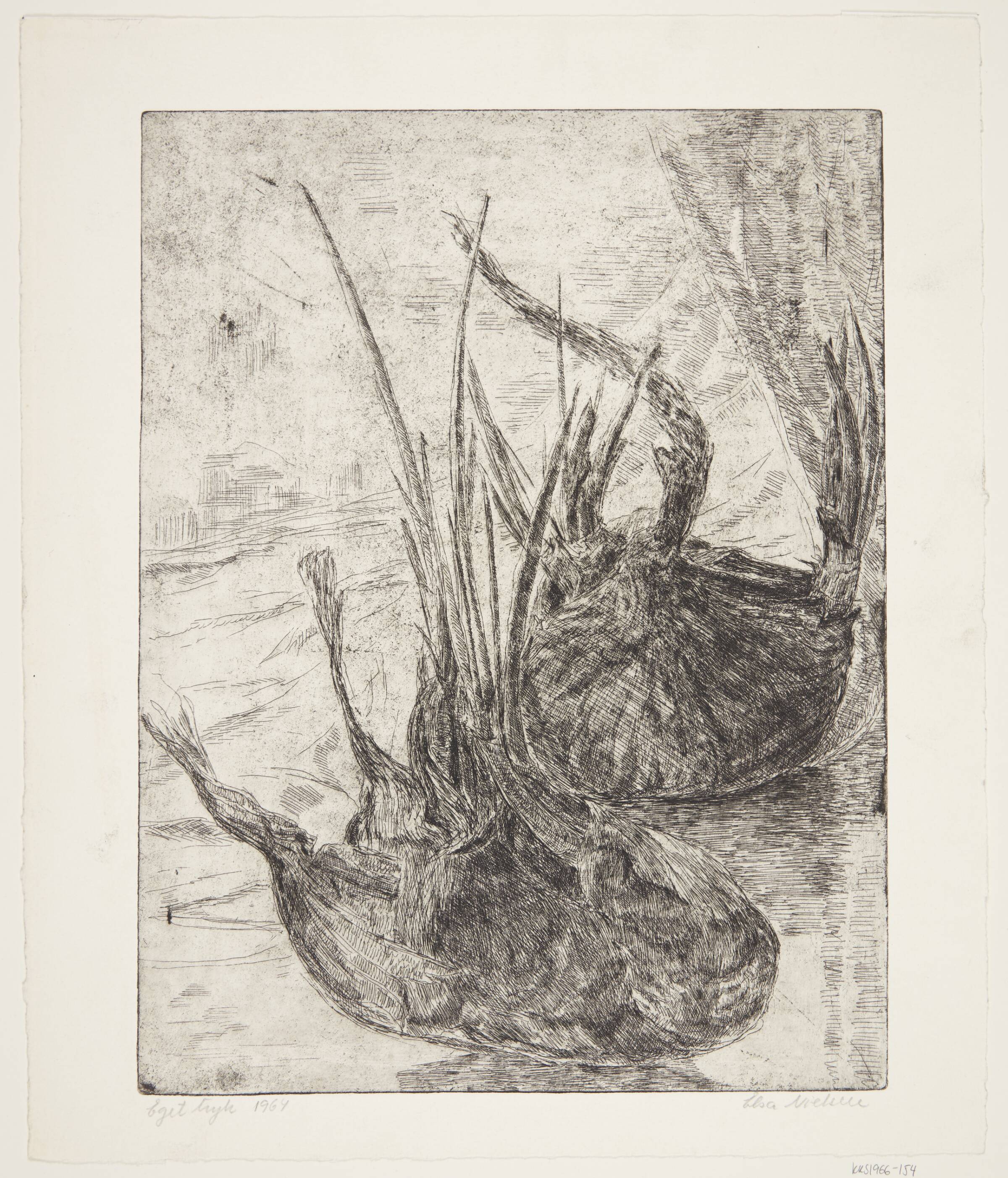 To spirende løg, Elsa Nielsen, 1964